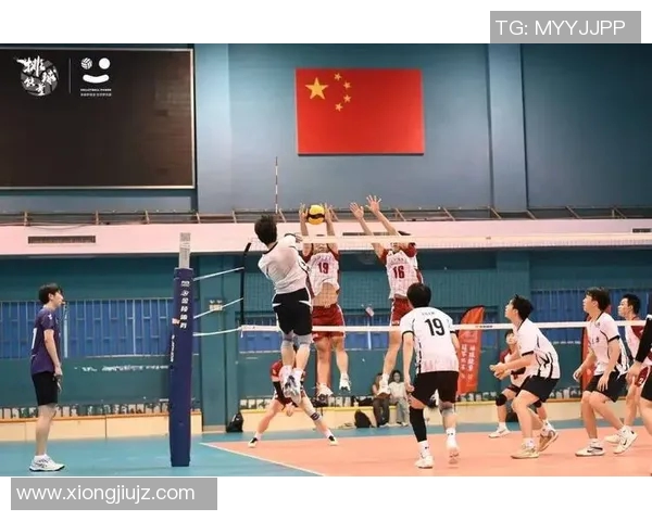 排球技术排行榜揭晓上海排球队荣登第十名引发热议