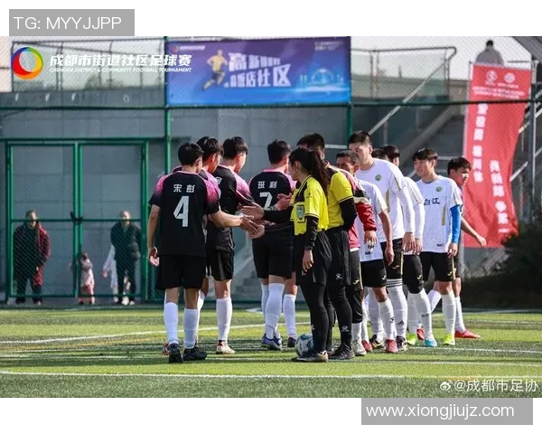 成都排球队的崛起之路：从默默无闻到全国瞩目的冠军之旅