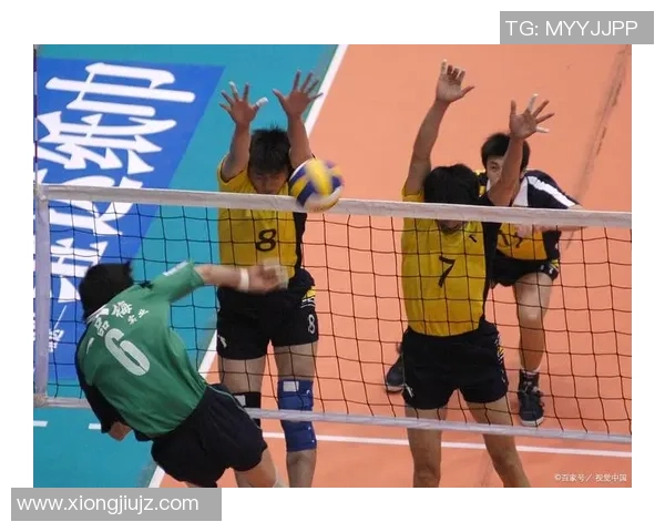武汉排球队的奋斗与荣耀：一段不平凡的排球纪实之旅
