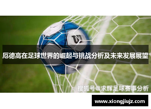 厄德高在足球世界的崛起与挑战分析及未来发展展望